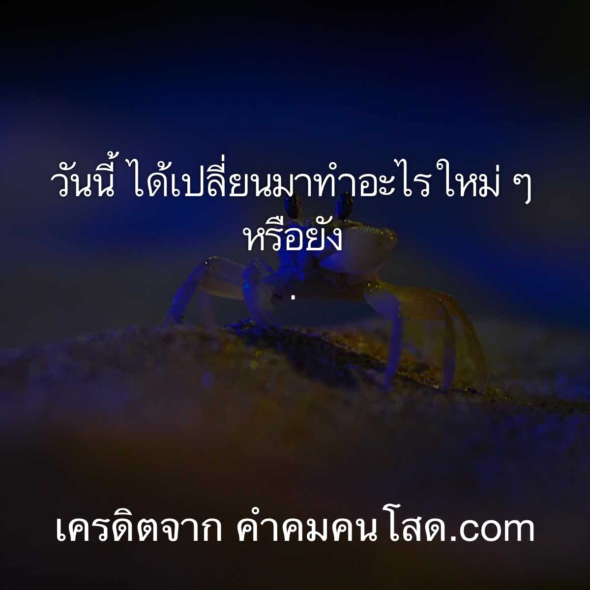 คำคมเซ็งๆ: อย่าลืมหัวเราะในชีวิตทุกวัน - Hanoilaw Firm